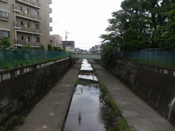 残堀川遊歩道 富士塚橋から昭和記念公園