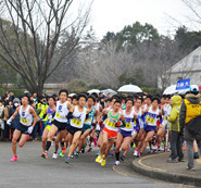 立川シティハーフマラソン2015