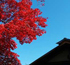 5196_ext_29_0.jpg