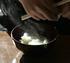 5327_ext_29_0.jpg