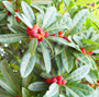 5910_ext_11_0.jpg