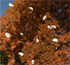 6466_ext_29_0.jpg