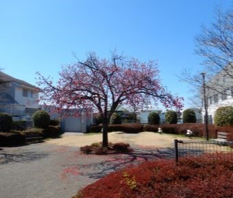 立川の公園・柏三東公園