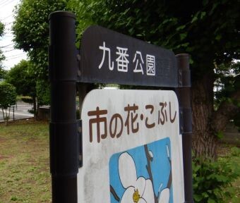 立川の公園・九番公園