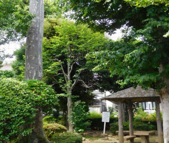 立川の公園・柴崎四公園