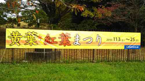 国営昭和記念公園「黄葉・紅葉まつり2018」