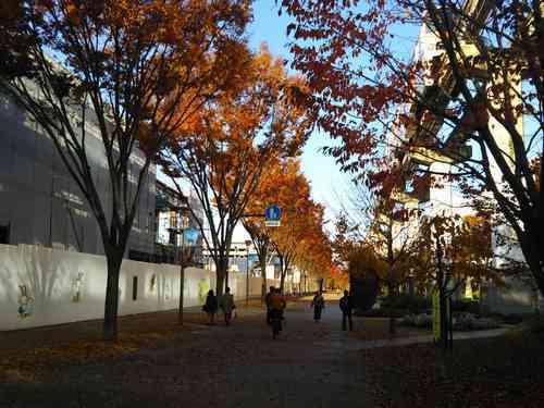 立川市泉町「グリーンスプリングス」の11月30日の様子