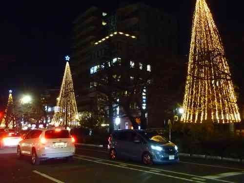 国立市 大学通りイルミネーションは今日から