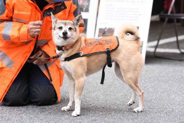 第7回市民のための体験型防災フェアが開催されました。