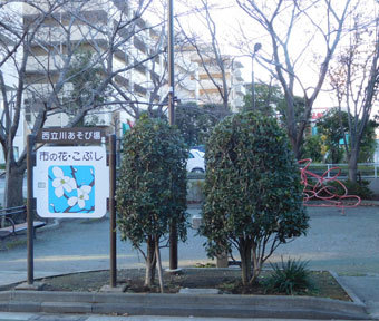 立川の公園・西立川あそび場