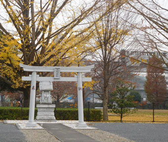 立川の公園・公園に身近なパワースポット