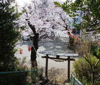 立川の公園・富士塚公園