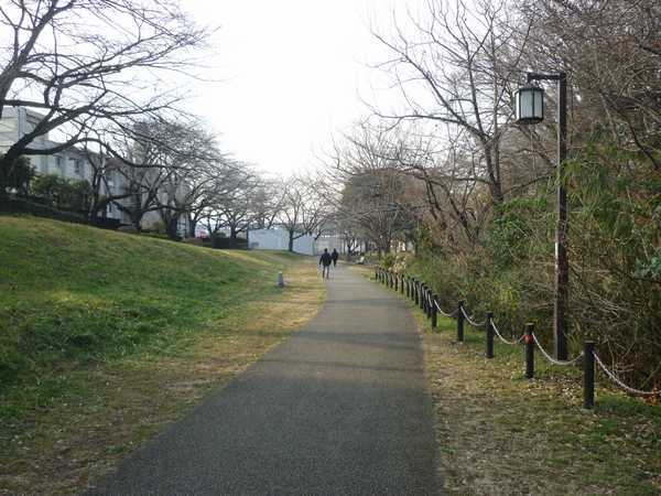 立川市 根川緑道の一部に囲いができていました