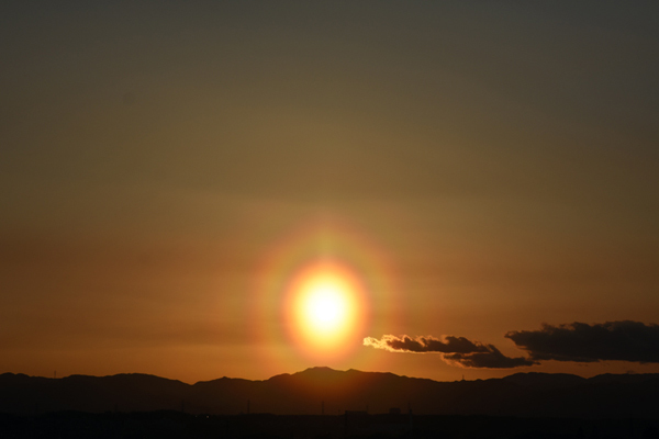 立川市 今日も花粉光環出ていました