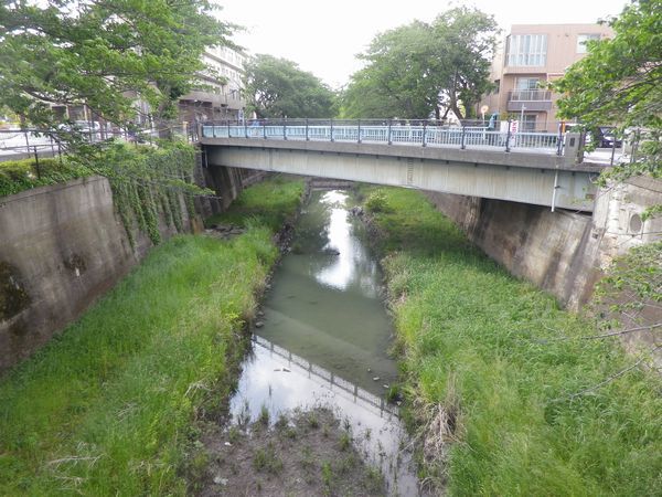 柴崎分水を歩く【番外】昭和記念公園①