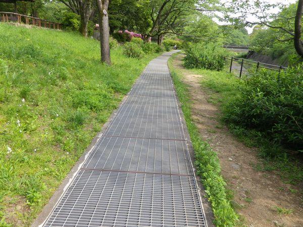 柴崎分水を歩く【番外】昭和記念公園②