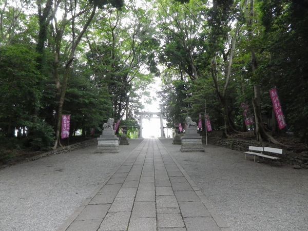 谷保天満宮「あじさい祭り」は6月22日（土）