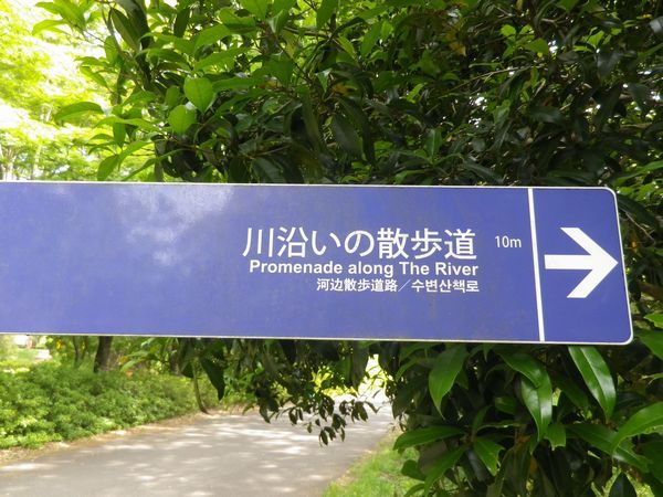 残堀川遊歩道 昭和記念公園①