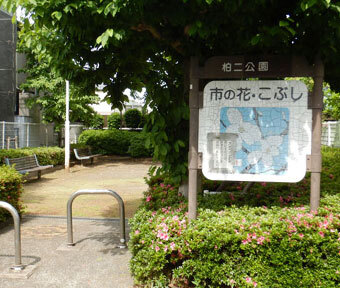 立川の公園・柏二公園