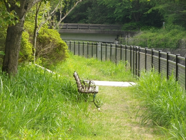 残堀川遊歩道 昭和記念公園②