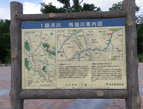 残堀川遊歩道 松風橋から国営公園北通り