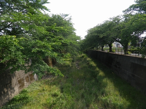 残堀川遊歩道 五日市街道まで