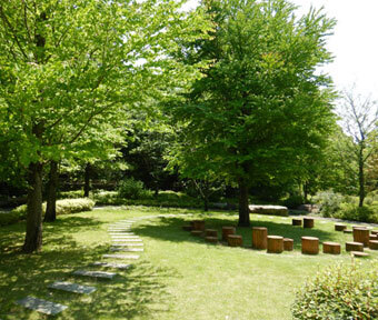 立川の公園・立川市砂川二 ふれあいの森公園