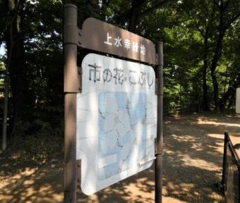 立川の公園・上水幸緑地