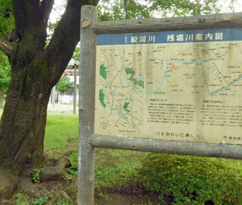 立川の公園・残堀川緑道の緑地