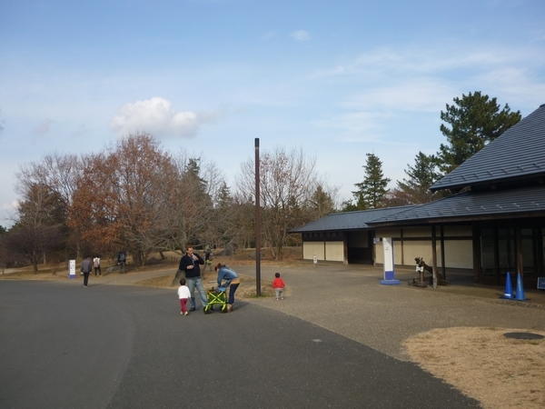 国営昭和記念公園「セツブンソウ」