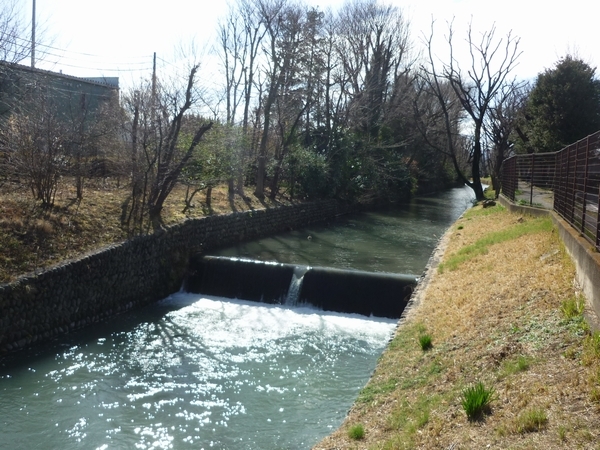 玉川上水の一部にある暗渠