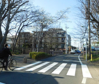 「千手橋通り」に新しい横断歩道ができました！