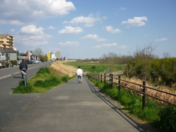 多摩川河川敷の様子　立川4月