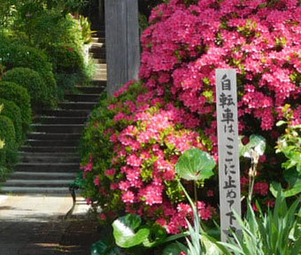 続・立川の珍百景♪ 「あれから2週間。立川の金比羅山は今」