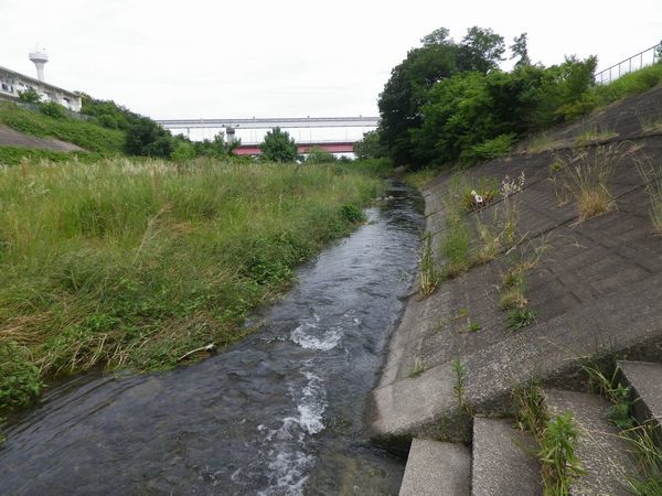 残堀川遊歩道（前編）