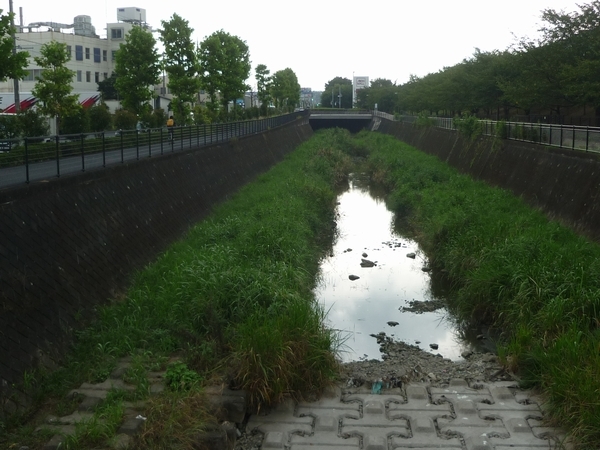 残堀川遊歩道　武蔵村山管理区域