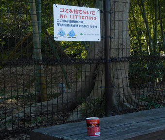 立川・公園さんぽ♪ ～玉川上水沿いから遊園地みたいな公園へ～