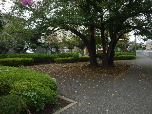 残堀川遊歩道　残堀川の由来