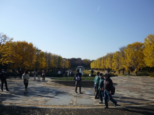昭和記念公園「黄葉・紅葉まつり2020」