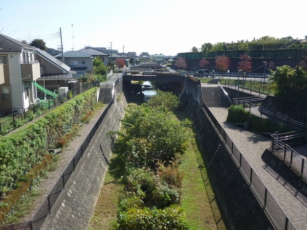 残堀川遊歩道 狭山下橋まで