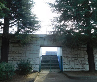 立川の空・たちかわ空景「立川公園野球場」