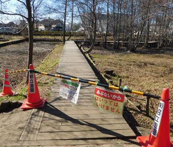 立川市羽衣町・矢川緑地保全地域の二十四節季 ～大寒～