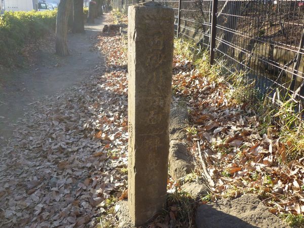 玉川上水緑道をぶらぶら③