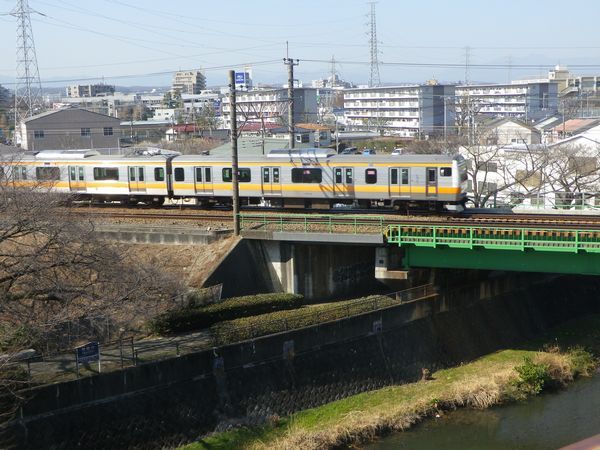 残堀川と中央線　河津桜がきれいです