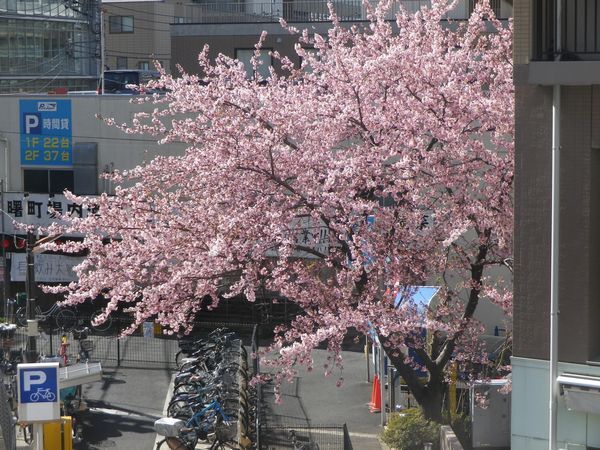 3月3日立川駅付近の様子