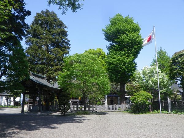 阿豆佐味天神社なんじゃもんじゃの花