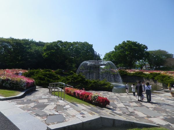 昭和記念公園「端午の節句」