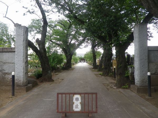 JR中央線と残堀川　そろそろ梅雨入り？