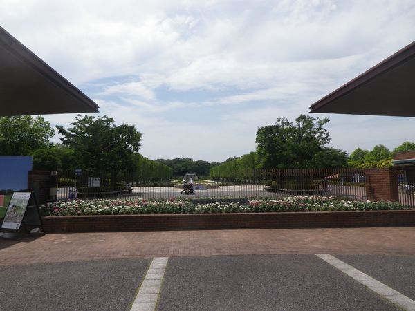 昭和記念公園再開しています