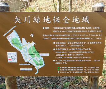立川の公園・矢川緑地保全地域